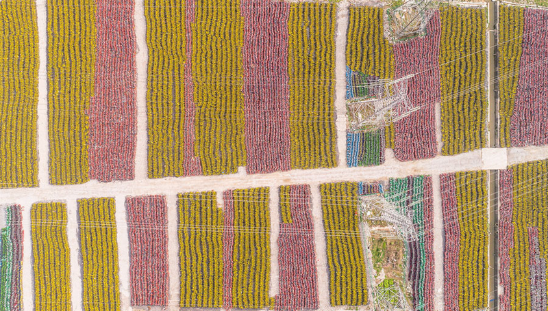 Illustration for article titled Bike-shares in China